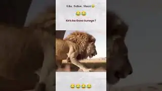 😂😂#funny #dogmemes #indiamemes # #trending