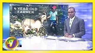 4 Yr Old Farmer in St. Elizabeth Jamaica | TVJ News