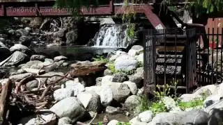 TLTV Ep 98 - Edwards Gardens & TBG