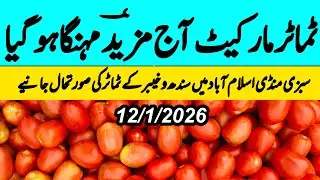 Tomato Market Islamabad | Tomato Market Situation | Vegetable Mandi Islamabad Today | FruitMan