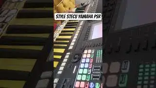 Style Stecu Yamaha Psr A2000#psra2000