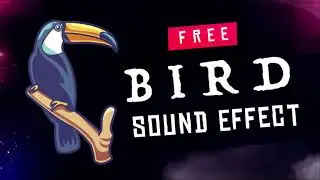 Free Bird Sound Effects | Birds Chirping | Royalty Free SFX