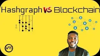 Hashgraph vs Blockchain: Who Wins?
