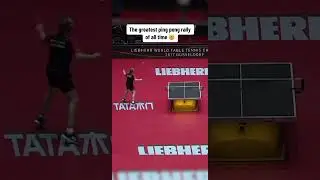 They just kept going 😯 (via&nbsp;@World Table Tennis&nbsp;/TT) #shorts