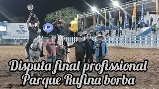 DISPUTA FINAL PROFISSIONAL PARQUE RUFINA BORBA CAMPEONATO PORTAL VAQUEJADA 2025