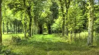 Sviatoslav Richter - Schubert - Piano Sonata No 9 in B major, D 575