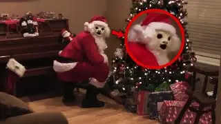 10 Momentos de Miedo captados durante La Navidad