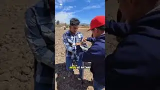 Festival Palu Ledak! Tradisi Gila di Meksiko yang Bikin Telinga Berdenging!