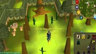 lv 14 with slayer helm and full void.