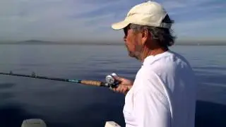 Izor's Reef 1/22/13