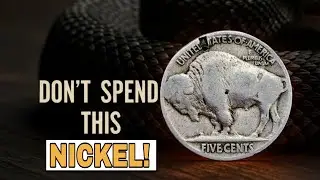 Top 5 Most Valuable Buffalo Nickels Worth $250K+ | Hidden American Coin Treasures Uncovered!&rdquo;