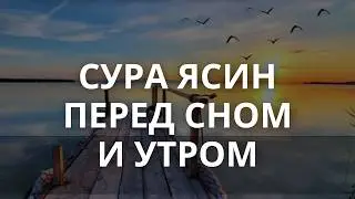 ЯСИН КАЖДУЮ НОЧЬ И КАЖДОЕ УТРО СЛУШАЙТЕ КРАСИВОЕ ЧТЕНИЕ КОРАНА