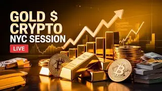 Live Forex Trading