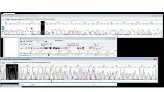 Editing bad sequences with mismatches in consensus sequence in Bio-Edit software