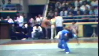 1981 China National Wushu Championships