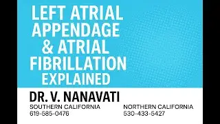 Left Atrial Appendage & Atrial Fibrillation Explained | Stroke Prevention & Treatment Options