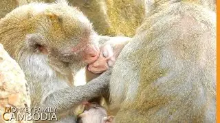 Is it hurt ?? Jane bite  brat Janet to discipline her  but she still fall asleep . | Jane Monkey