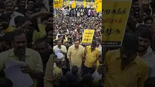 PMK Vs DMK 💥 #pmk #dmk #anubumani #ramdass #peoplesmedia