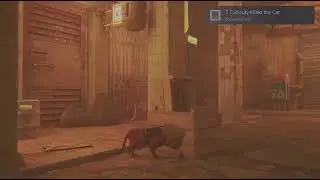 Stray_20251129201819