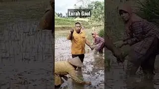 Lurah gaul menanam padi || Kades gaul si rambut mohawk