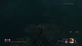 SEKIRO: Ungo's Spiritfall (Underwater) Headless location and Easy Cheese Guide