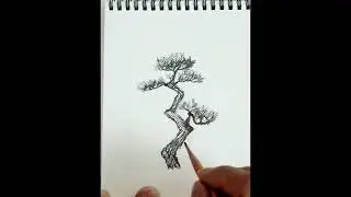 소나무 그리기 Pine Tree Drawing #drawing #pencilsketch #art  #peacefuldrawing  #sketch #연필그림 #relaxingart