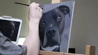 Dog Pet Portrait Oil Painting - Time Lapse