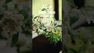 A Late Confession#healing #music #song #emotional #meditation #shorts #popballad #slow #duet