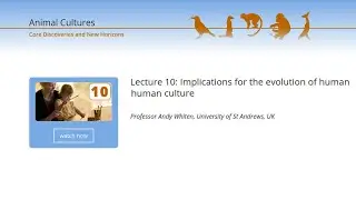 Animal Cultures : Lecture 10 : Implications for the evolution of human culture