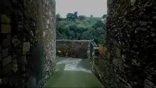 Bibbona