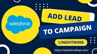 How to Add Lead to Campaign in Salesforce Lightning