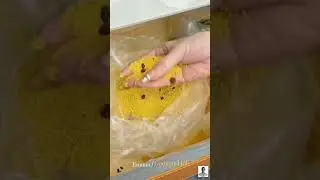 Grain Storage Bag:The Ultimate Solution for Fresh & Insect-Proof Food!