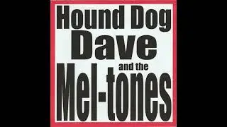 Hound Dog Dave And The Mel-Tones - Live At The Scarlett Lady (2010, CDr)