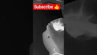 Anshara#handwriting #writing #babygirlnames #shortsfeed #shorts #youtubeshorts #islamicwrites