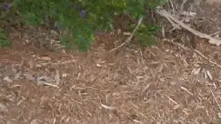 Adventurous Kids: Quiet Waters Park