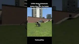 CITRA: Nosey Vs Walten Files: Bon The Rabbit REMATCH #garrysmod #gaming #nextbots #sandbox