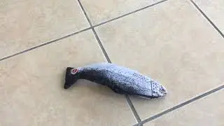 Flippin' Fish