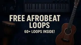 Download 30 high quality drum loops + stems plus 20 melody loops + stems and midi files