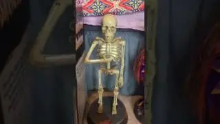 Gemmy Animated Illuminated Skeleton (Spooky Juice Skeleton)