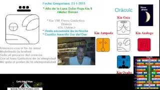 Calendario Maya Tzolkin. Viernes 23 Enero 2015. Kin 190  Perro Galactico Blanco.