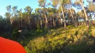 TIR SANGLIER 22 AOUT 2013 FONTVIEILLE