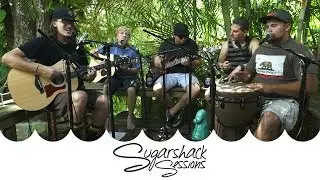 The Holidazed - In My Garden (Live Music) | Sugarshack Sessions