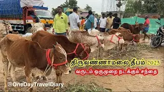 10000 முதல் 3 லட்சம் வரை விலைபோன மாடு திருவண்ணாமலை தீபசந்தை 2025 | Tiruvannamalai Deepam 2025