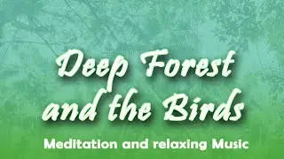 Deep forest and the Birds | Meditation Music | Deep Calm | Relax Music | Positive Vibes | 2026