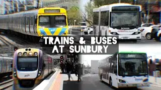 Trains & Buses at Sunbury - October 2025