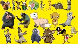 Drulii TV small animals names 