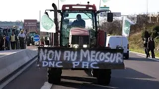 Bruxelles multiplie les concessions pour conclure un accord avec le Mercosur