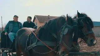 Pero iz Balatuna kod Bijeljine - ljubitelj konja i organizator &scaron;traparijada || POREZNIK GAVRO
