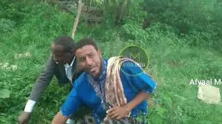 DAAWO ABWAAN CALI BUGAY IYO NUUROW KABAY OO ISKU DAGAALAY NUS DOOLAR AHAHAHA