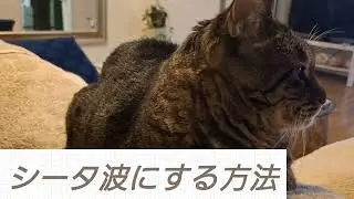 政木フーチに必須「シータ波」解説、腹式深呼吸だけじゃない！色んな方法教えます@yatsuha8 